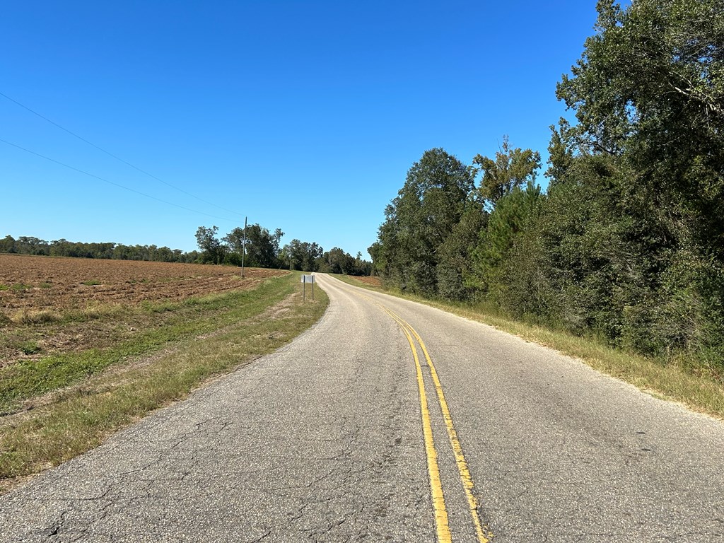 9.481-ac 9.481-ac Road Cottonwood, AL 36320 - Photo 6 of 19