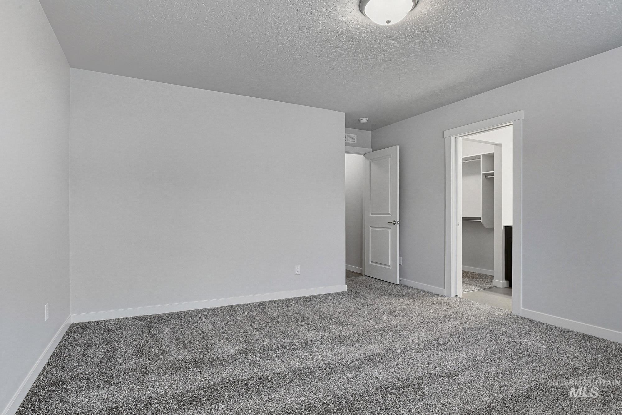 3065 North Summerbrook Avenue Meridian, ID 83646 - Photo 18 of 33 Unfurnished bedroom featuring a spacious closet, carpet flooring, and a textured ceiling