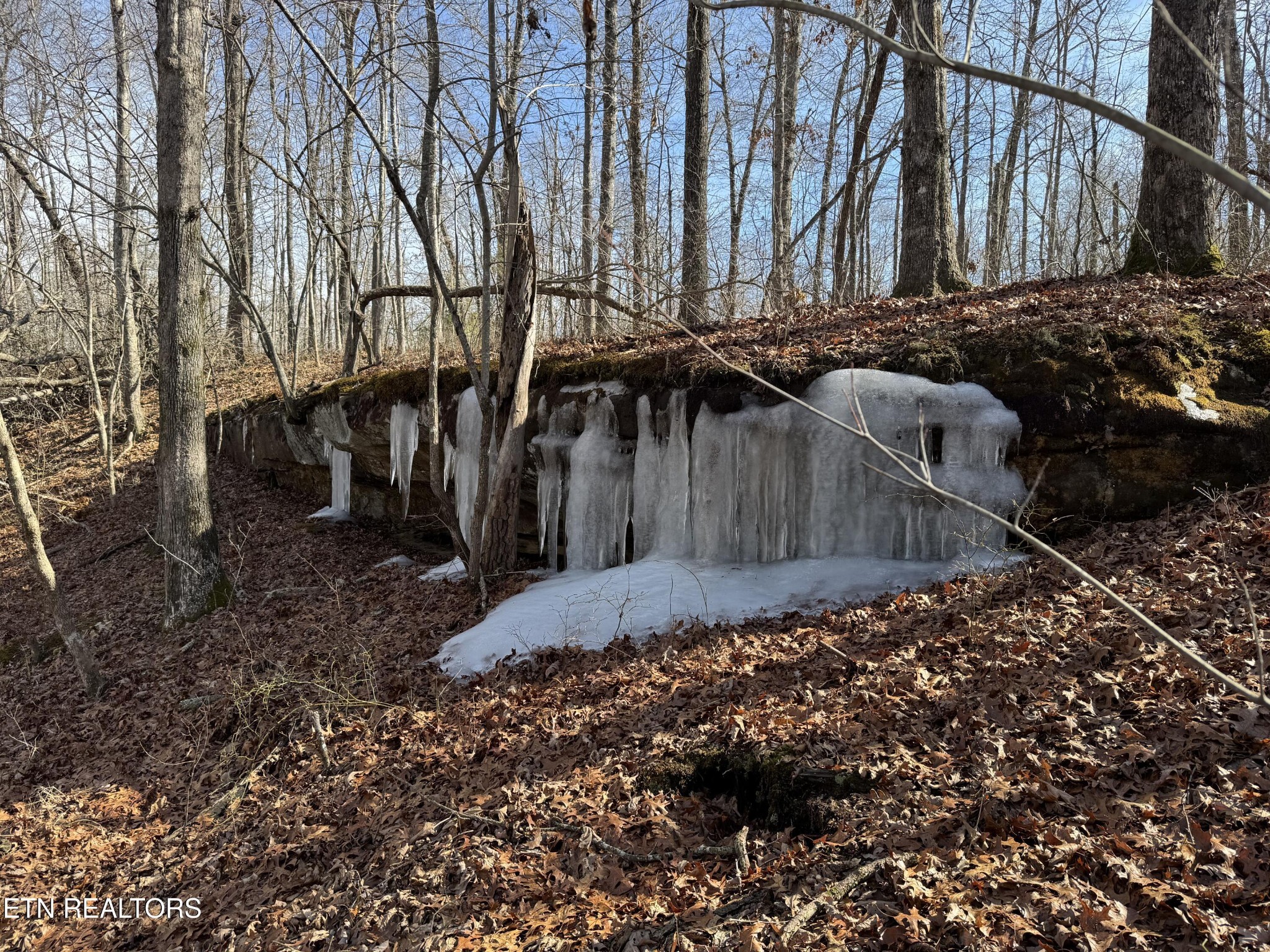 a view of a backyard of the house