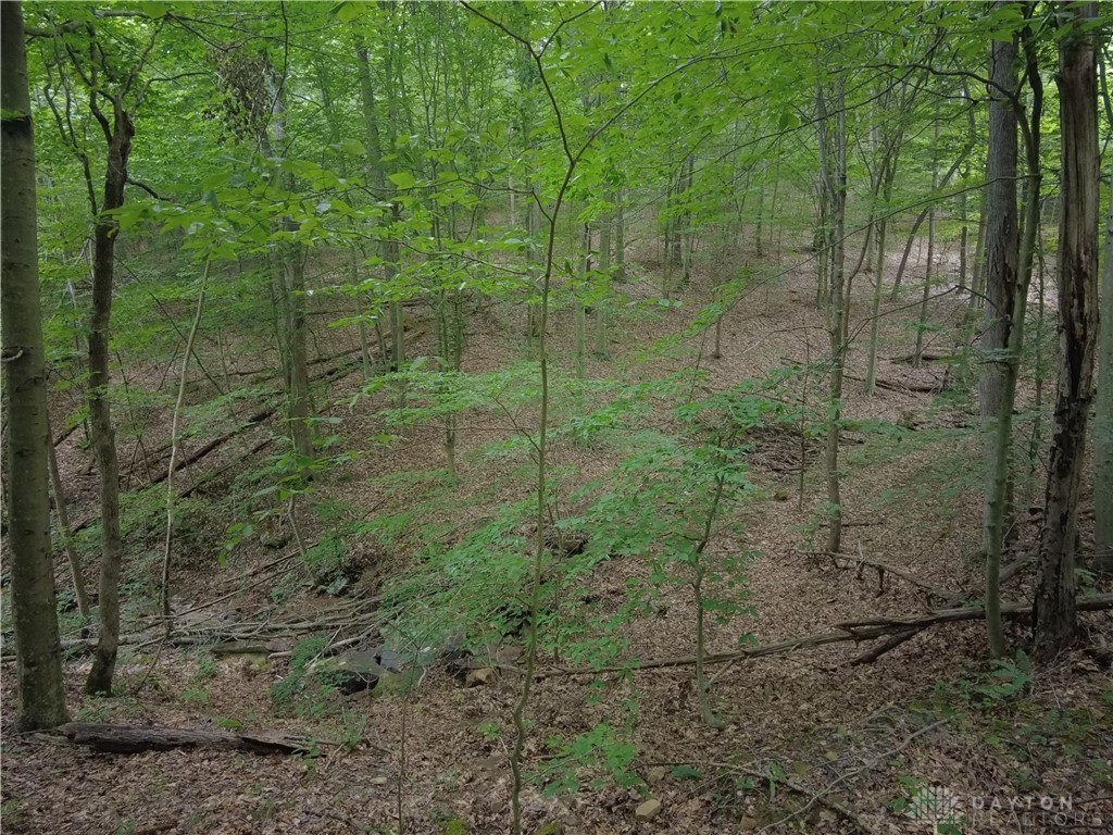 94-acres Naces Run Road Stout, OH 45684 - Photo 7 of 36 Gallery Image 7