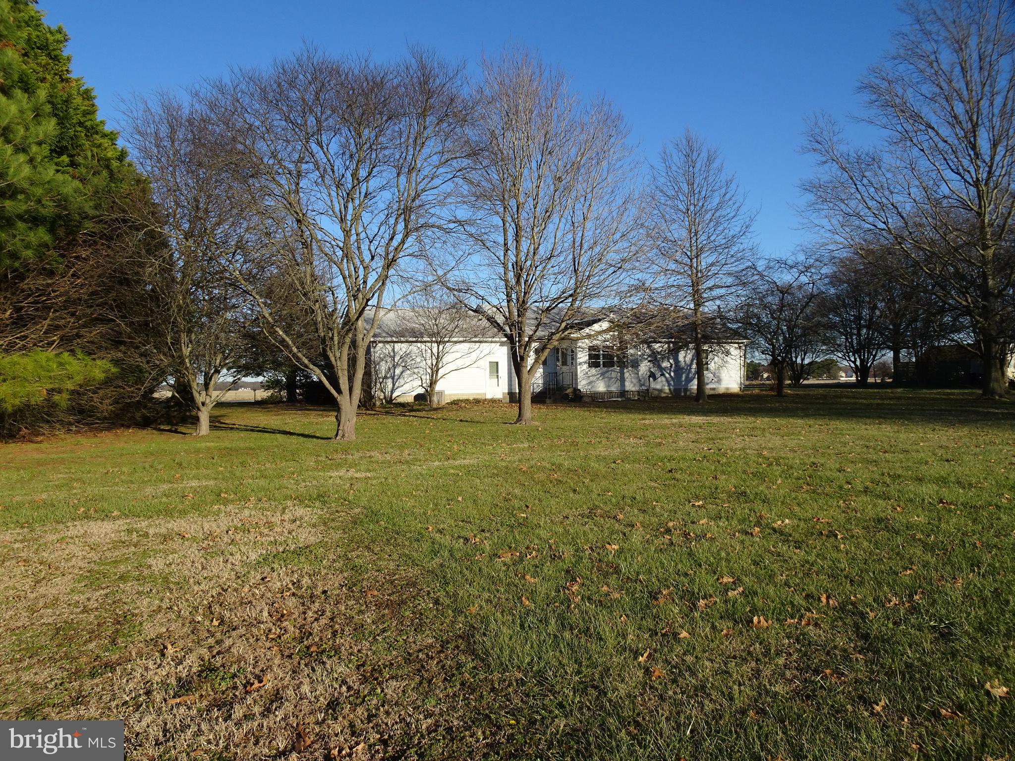 12672 Oakland Road Ridgely, MD 21660 - Photo 30 of 38 Backyard