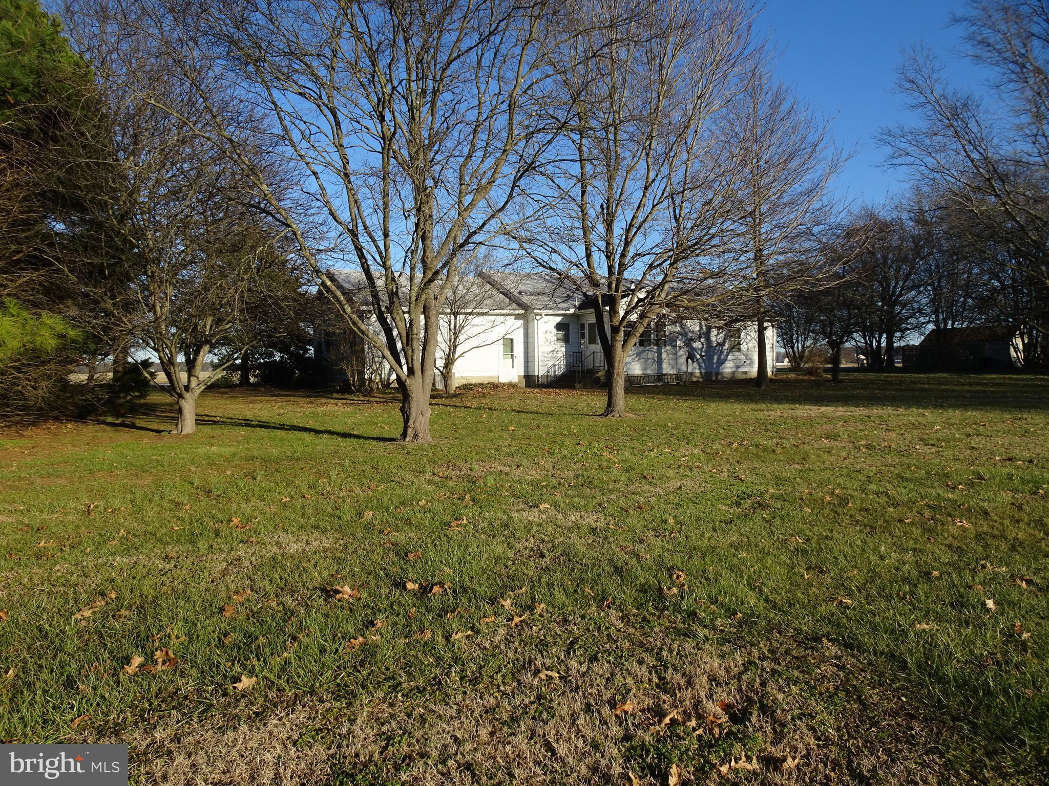12672 Oakland Road Ridgely, MD 21660 - Photo 31 of 38 Backyard