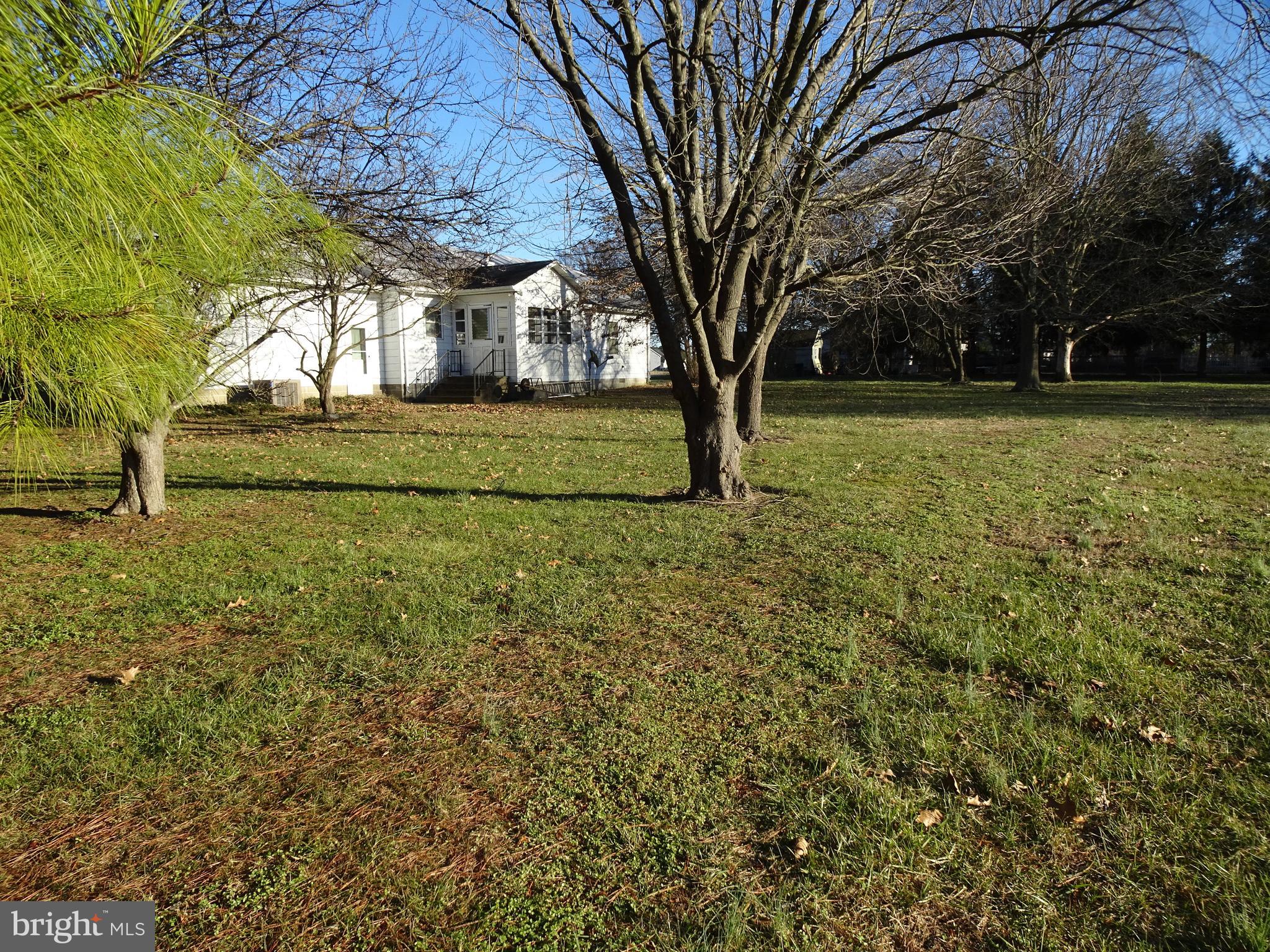 12672 Oakland Road Ridgely, MD 21660 - Photo 32 of 38 Backyard view