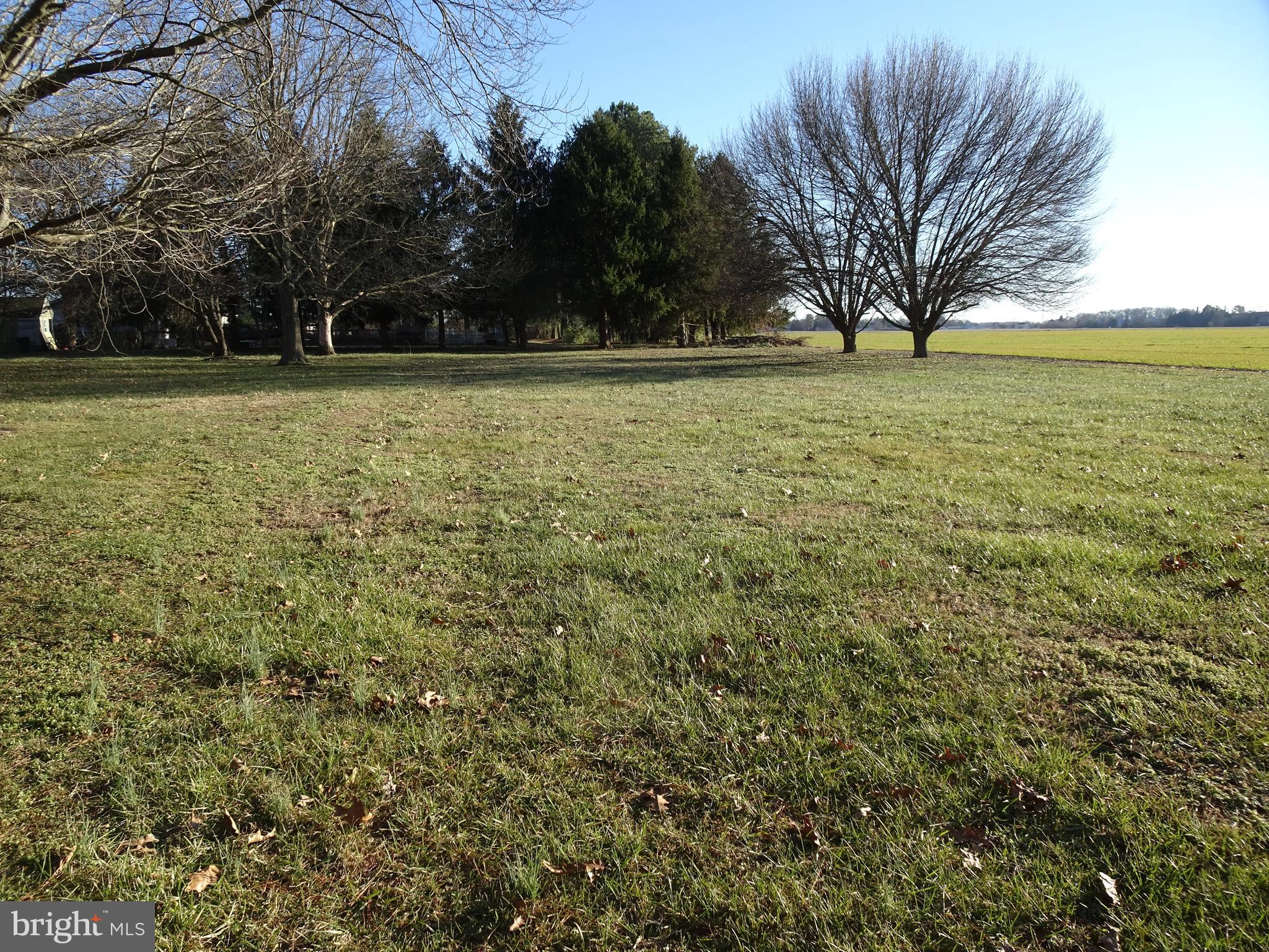 12672 Oakland Road Ridgely, MD 21660 - Photo 33 of 38 Backyard