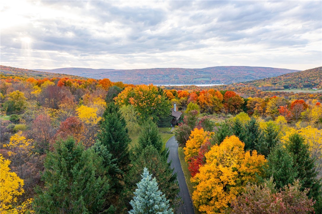 824 Mertz Road Middlesex, NY 14507 - Photo 36 of 45 Coming Up the Driveway