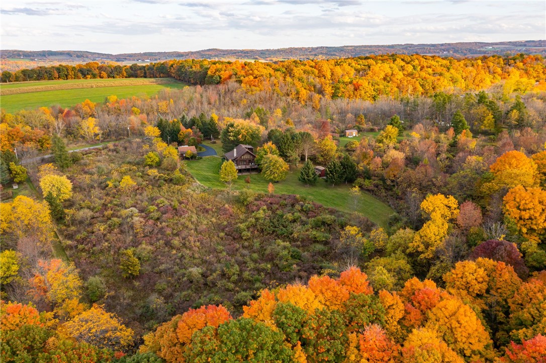 824 Mertz Road Middlesex, NY 14507 - Photo 39 of 45