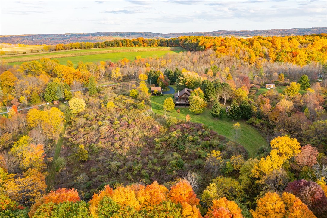 824 Mertz Road Middlesex, NY 14507 - Photo 40 of 45 10 Acres to Enjoy!