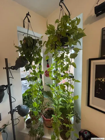 $3,500 | 560 West End Avenue, Unit 4E | Upper West Side