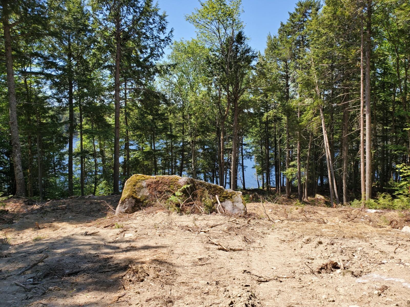 Lot #12 Houston Road Lincoln, ME 04457 - Photo 2 of 10 20200617_104731