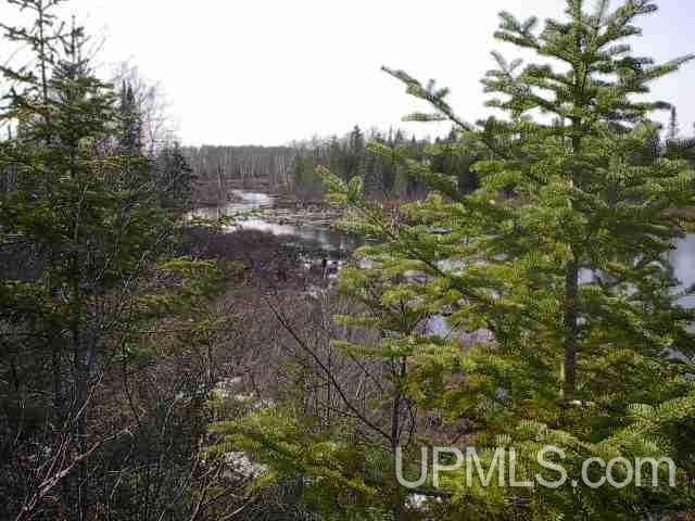 E2520 Co Road Trenary, MI 49891 - Photo 3 of 5