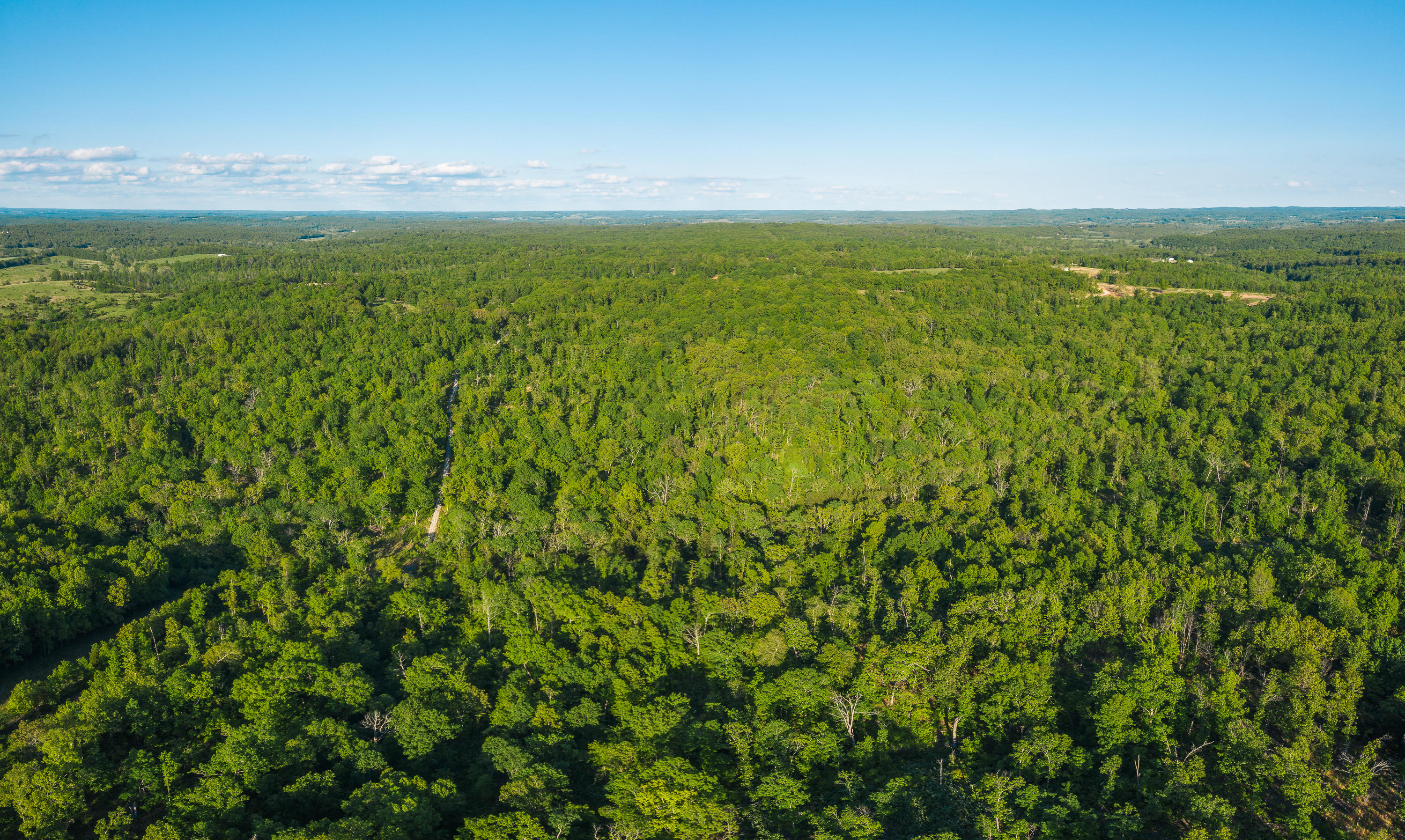 Tbd Tbd Old Bado Road Cabool, MO 65689 - Photo 1 of 1 DJI_0074-Pano