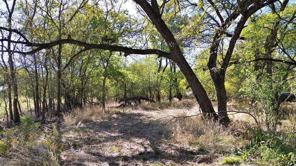 0 Bee Creek Road Maypearl, TX 76064 - Photo 8 of 39 a view of outdoor space and trees