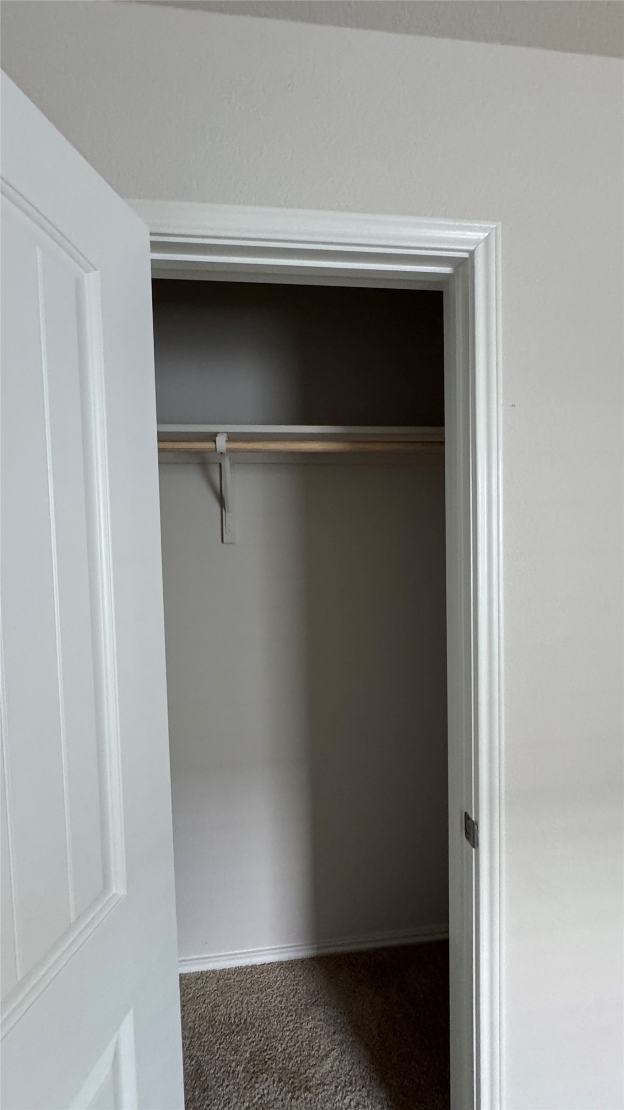 408 Frogmore Loop Kyle, TX 78640 - Photo 17 of 32 A well-organized storage solution with carpeted flooring and a hanging rod for convenience.