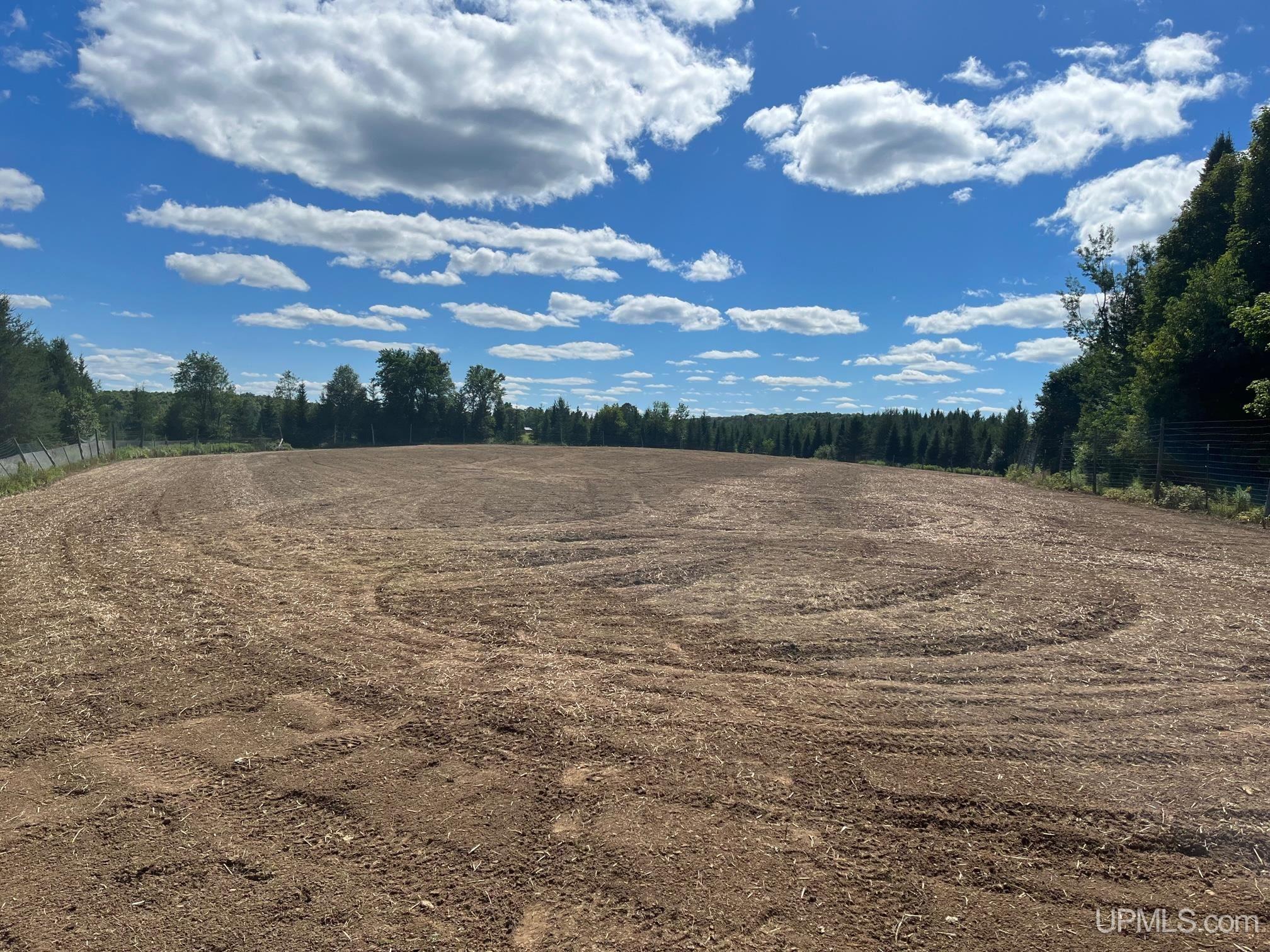Tbd Barry Road Iron River, MI 49935 - Photo 1 of 40 Gallery Image 1