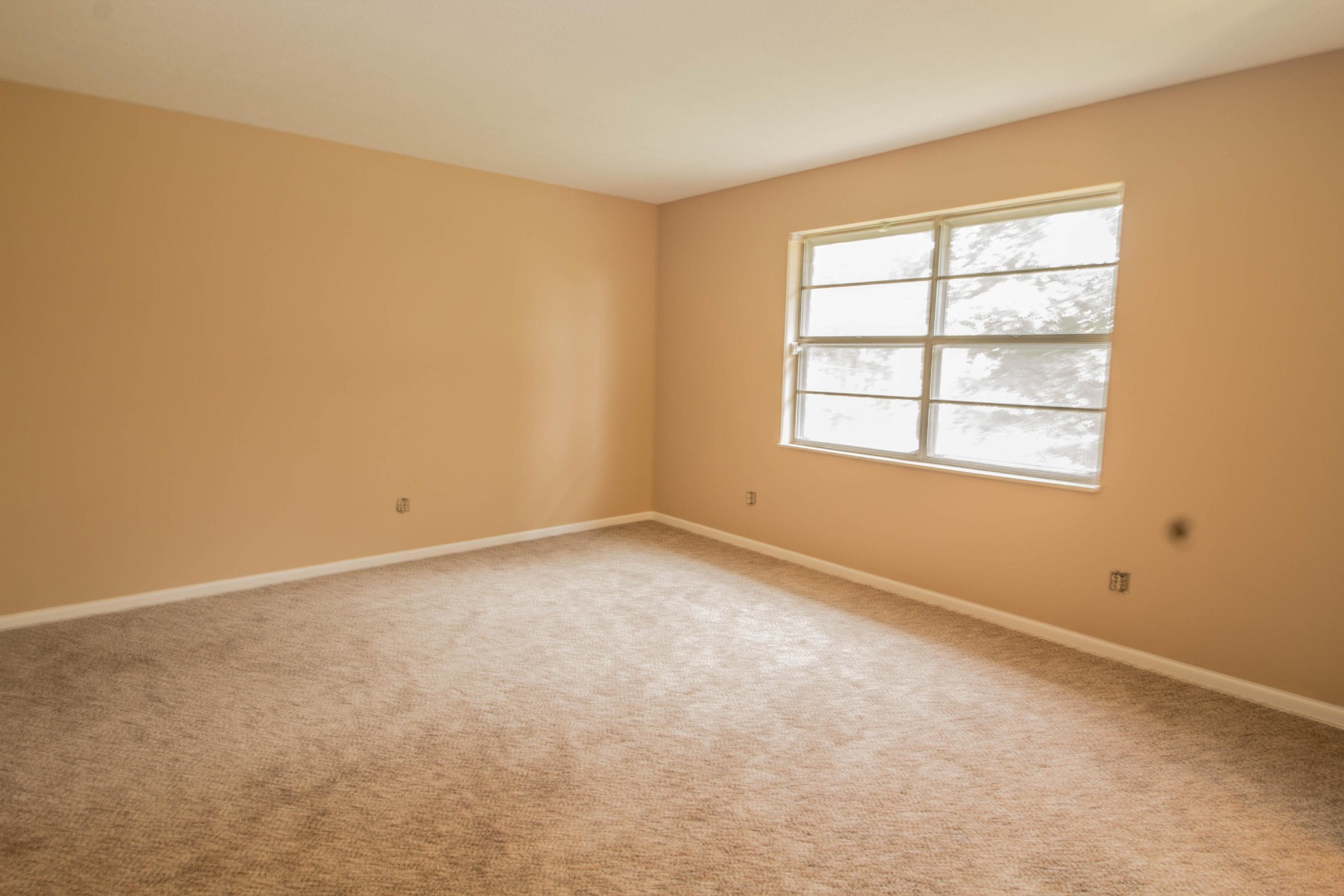 307 West Mountain View Road Corryton, TN 37721 - Photo 7 of 28 Gallery Image 7