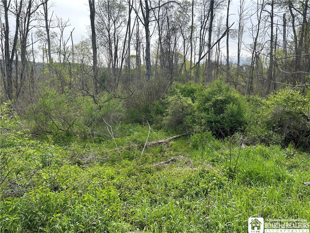 3675 Gerry Levant Road Ellicott, NY 14733 - Photo 6 of 10