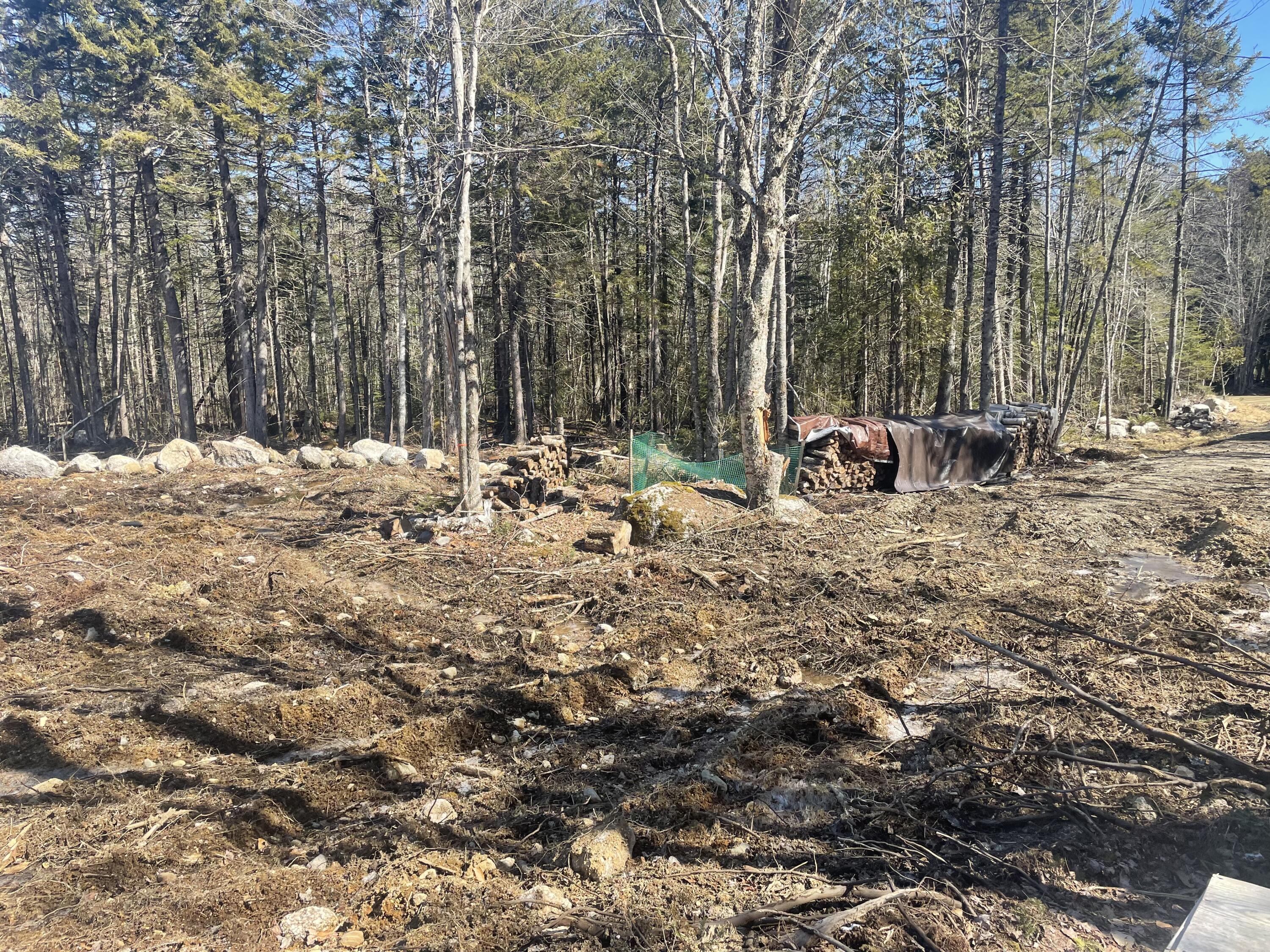 Map19-lot60 High Point Drive Penobscot, ME 04476 - Photo 8 of 15 image00008