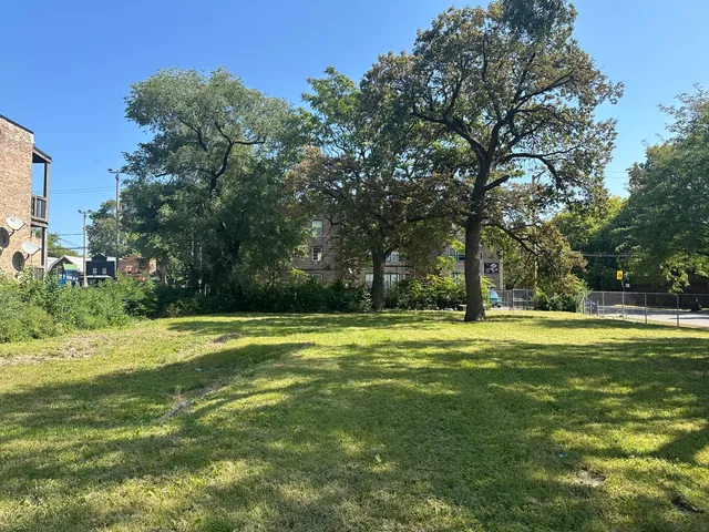 $250,000 | 6659 South Greenwood Avenue, Chicago, IL 60637