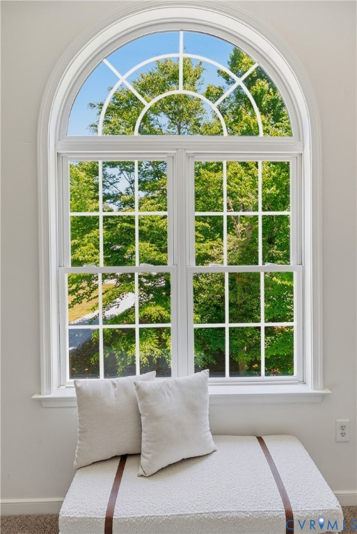 12206 Balta Road Chesterfield, VA 23838 - Photo 35 of 63 Gallery Image 35
