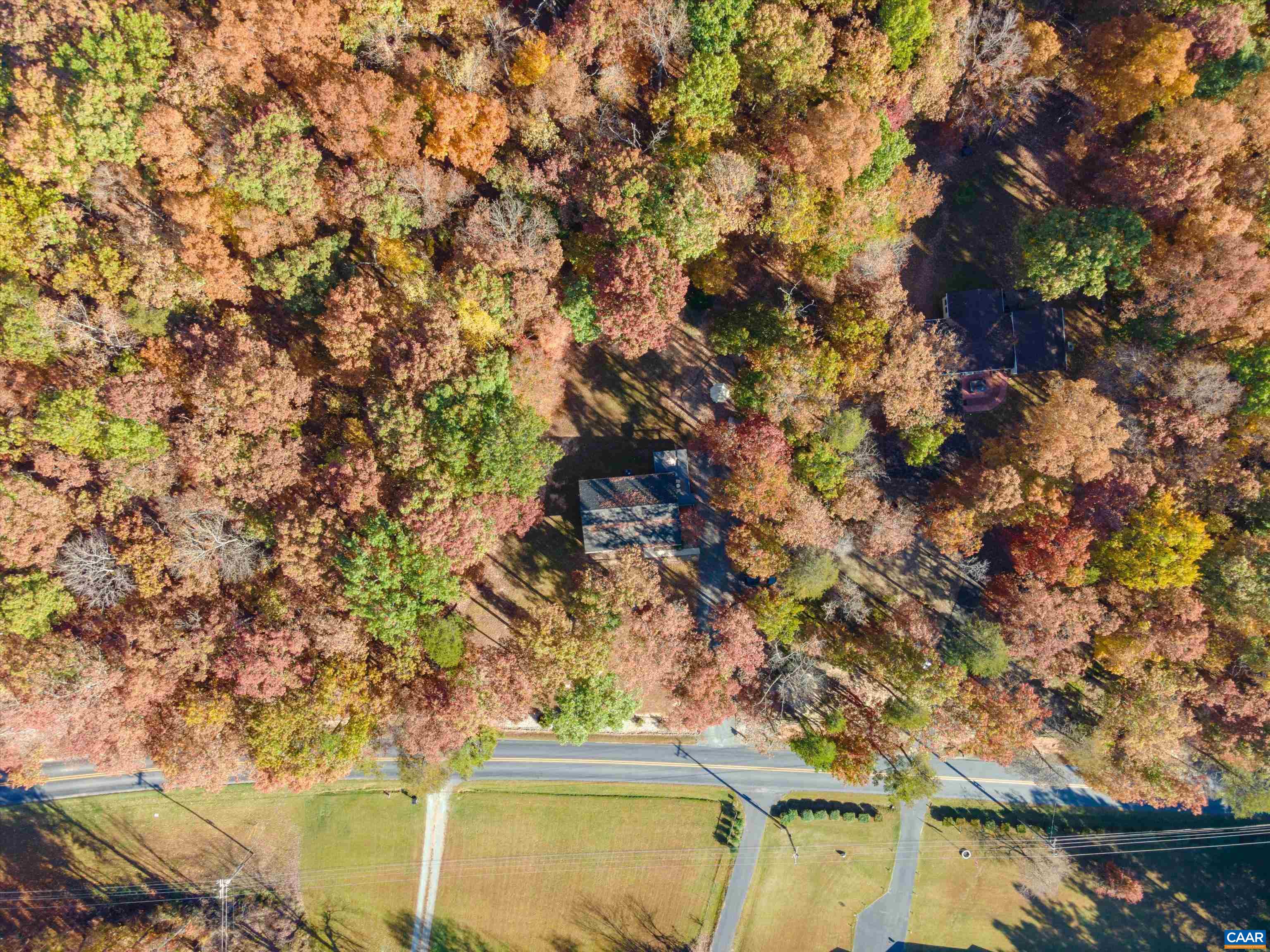 2321 Ruritan Lake Road Scottsville, VA 24590 - Photo 32 of 35 a view of a tree with a yard