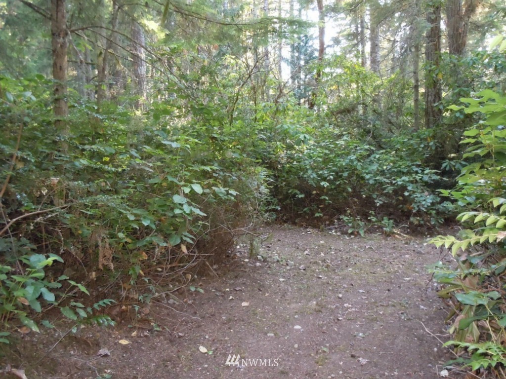0 Olympic View Road Northwest Silverdale, WA 98383 - Photo 3 of 10 Gallery Image 3
