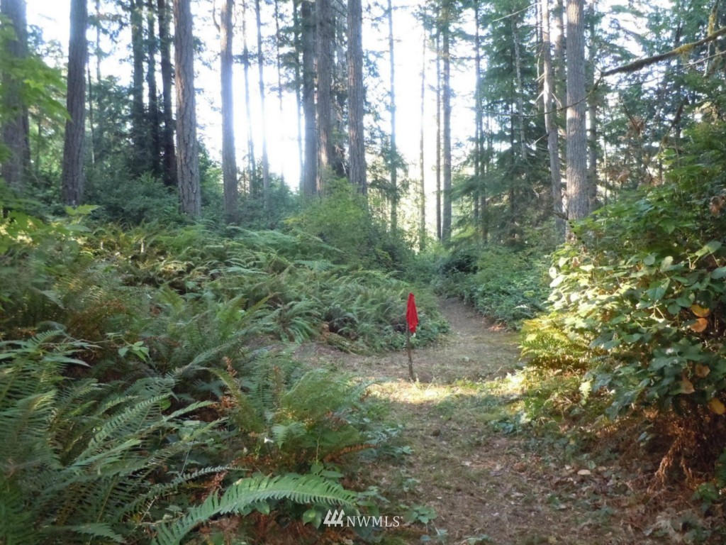 0 Olympic View Road Northwest Silverdale, WA 98383 - Photo 6 of 10 Gallery Image 6