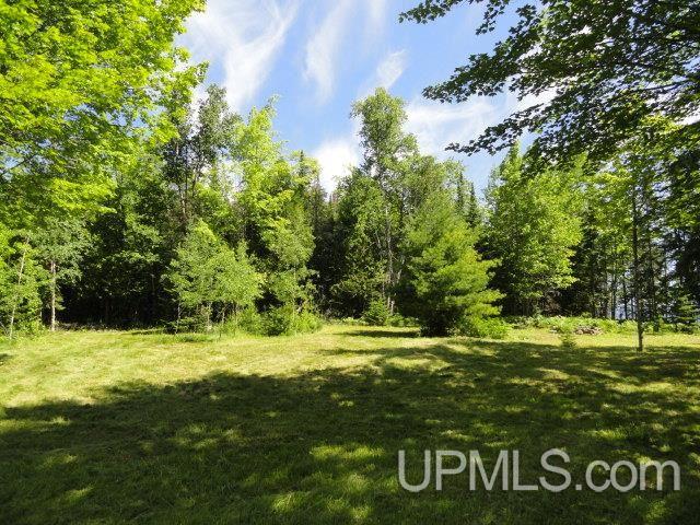 Tbd Puuri Road Baraga, MI 49908 - Photo 15 of 20