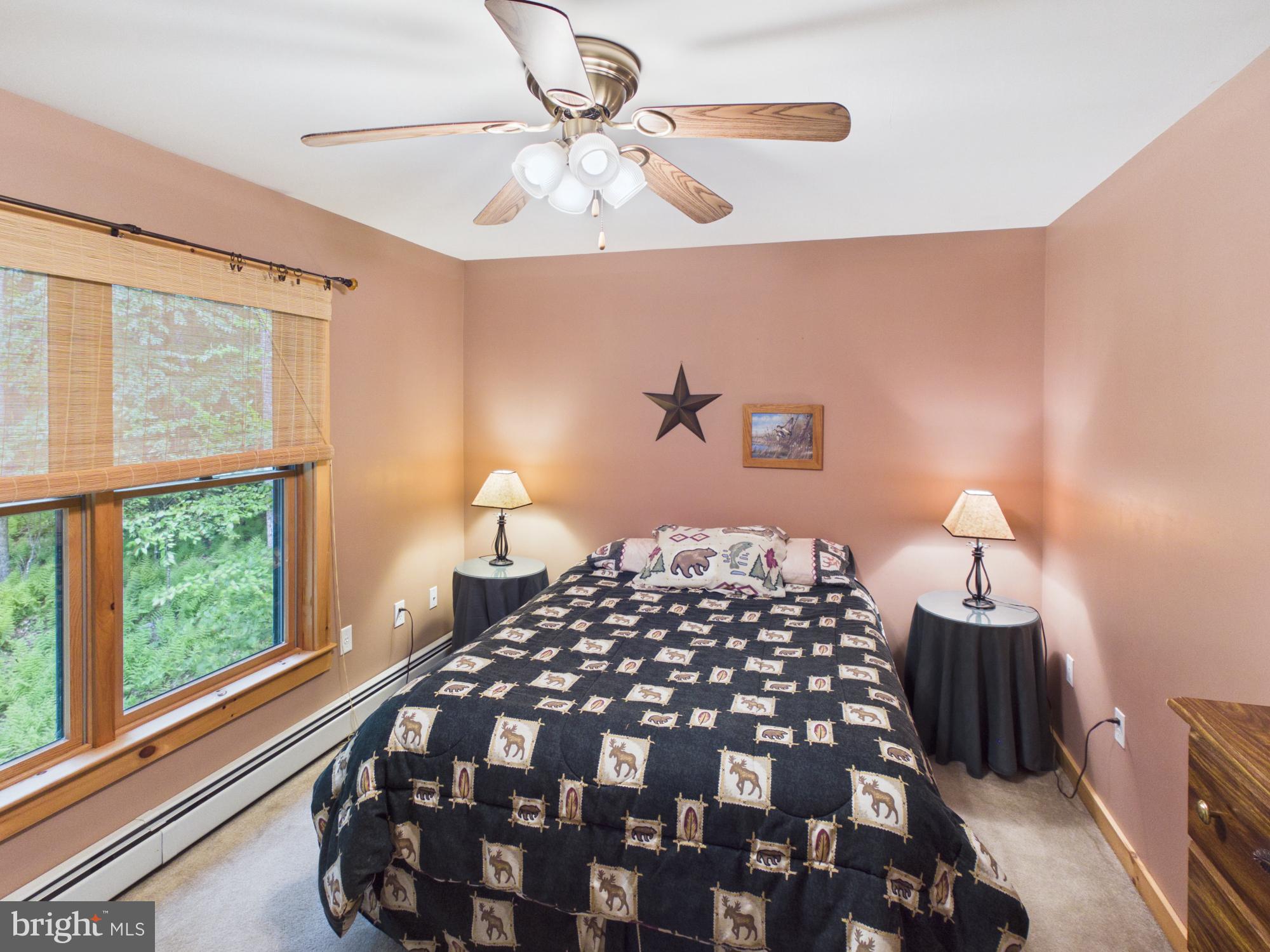 477 Finn Swamp Road Lakeville, PA 18438 - Photo 44 of 53 3rd Bedroom