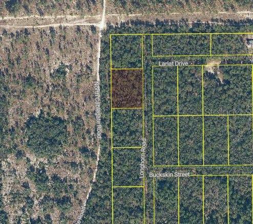 101 Longhorn Road Florahome, FL 32140 - Photo 5 of 5 Gallery Image 5