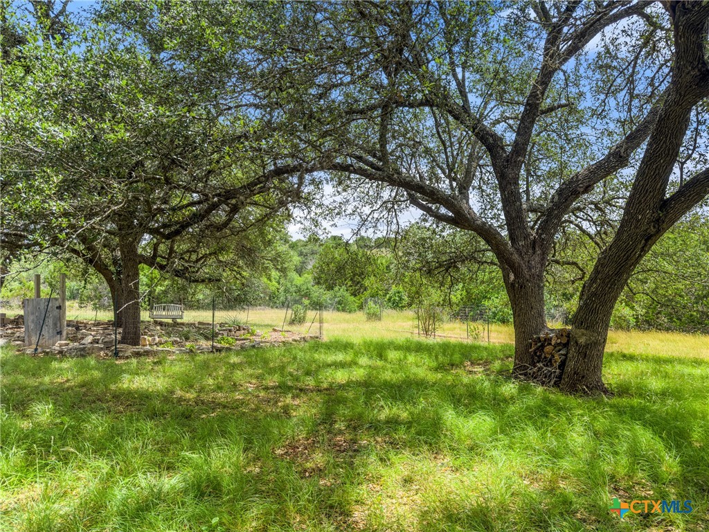 428 Summit Spring Lane Johnson City, TX 78636 - Photo 14 of 33