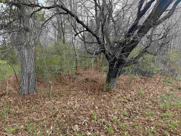 $40,000 | 1-acre Mol Merrill Avenue, Wausau, WI 54401