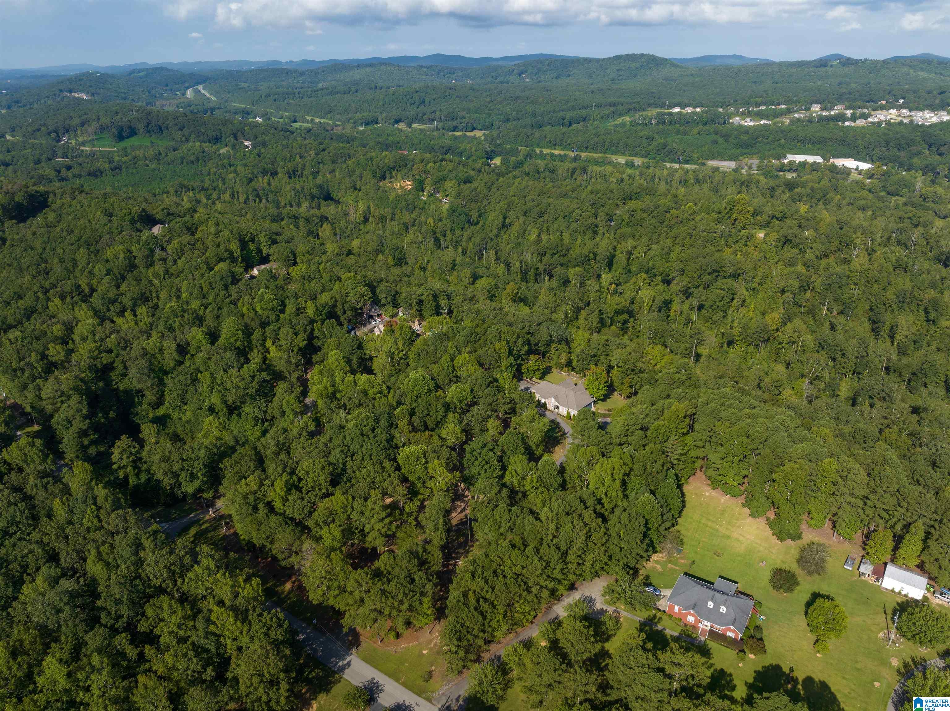 266 Hickory Valley Road Trussville, AL 35173 - Photo 53 of 61