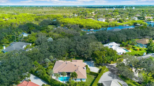 a view of a garden with plants