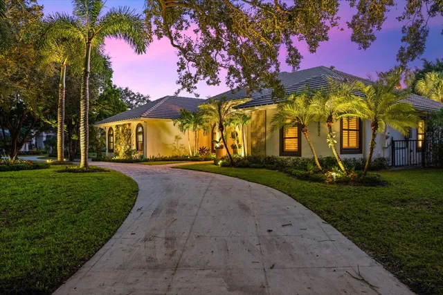 a view of a park with a tree