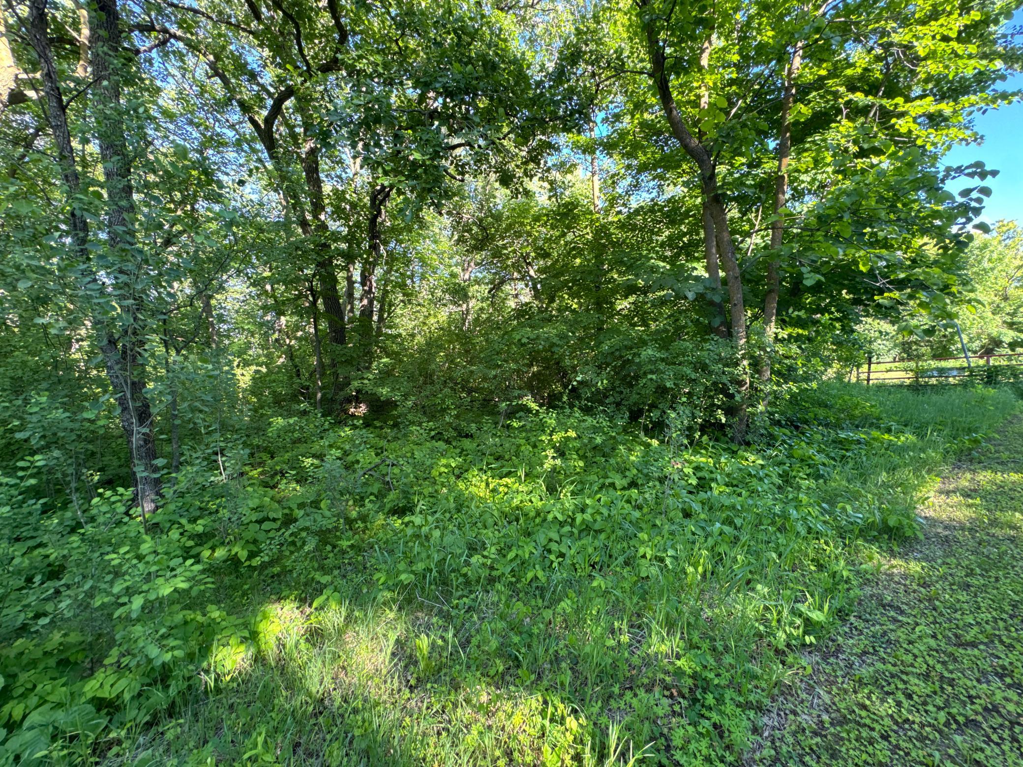 Xxxxx German Lake Road Underwood, MN 56586 - Photo 5 of 16