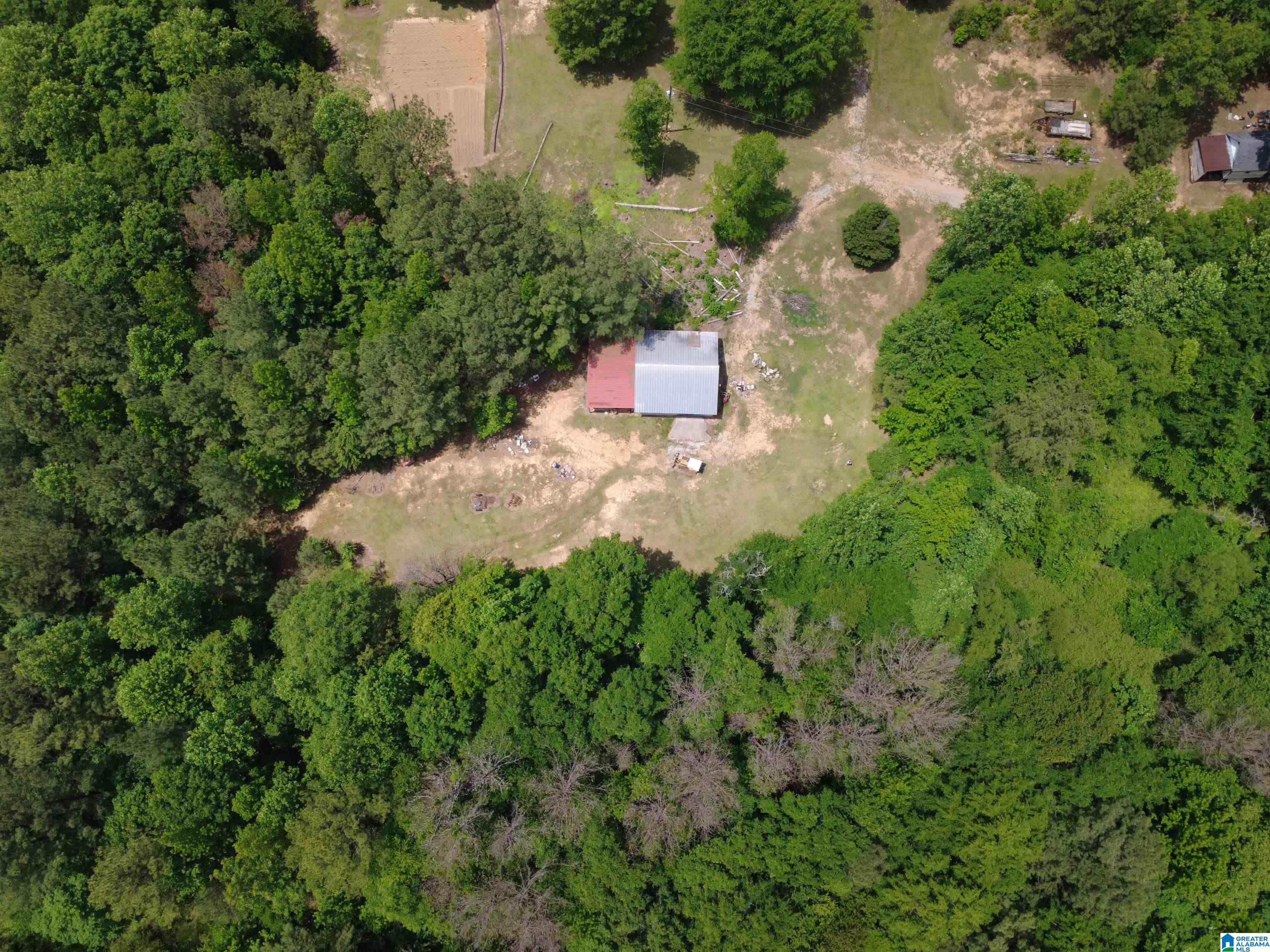4561 Cook Springs Road Pell City, AL 35125 - Photo 18 of 20