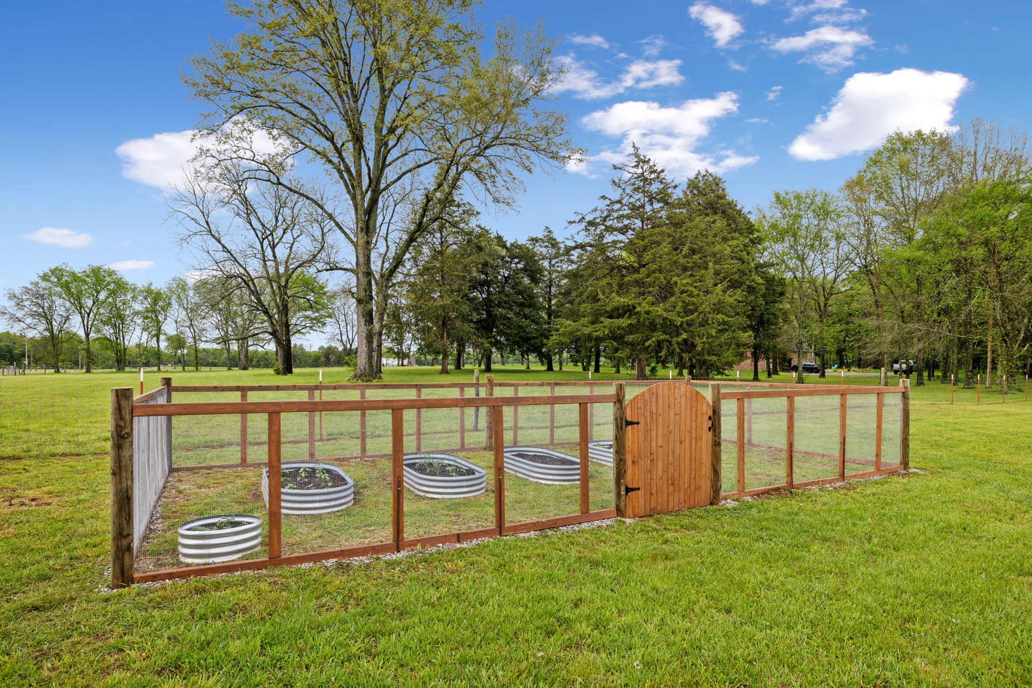 4209 Pyles Road Chapel Hill, TN 37034 - Photo 51 of 73 Gallery Image 51