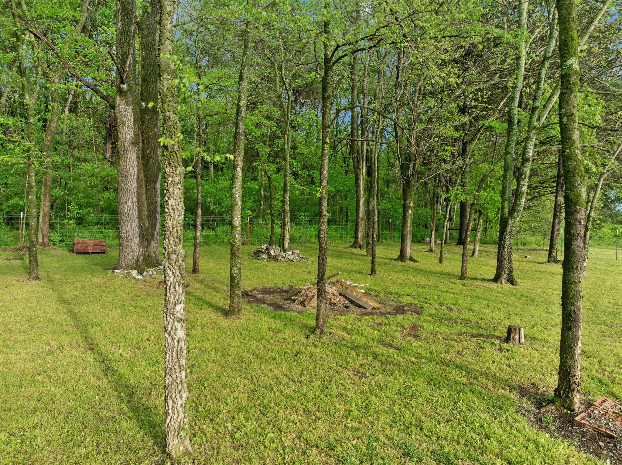 4209 Pyles Road Chapel Hill, TN 37034 - Photo 65 of 73 Gallery Image 65