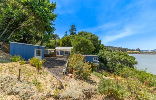 a view of a backyard with plants and lake view