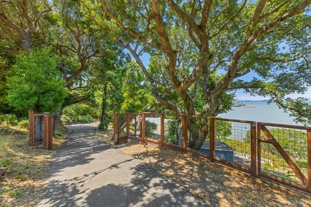 a view of a house with backyard and trees