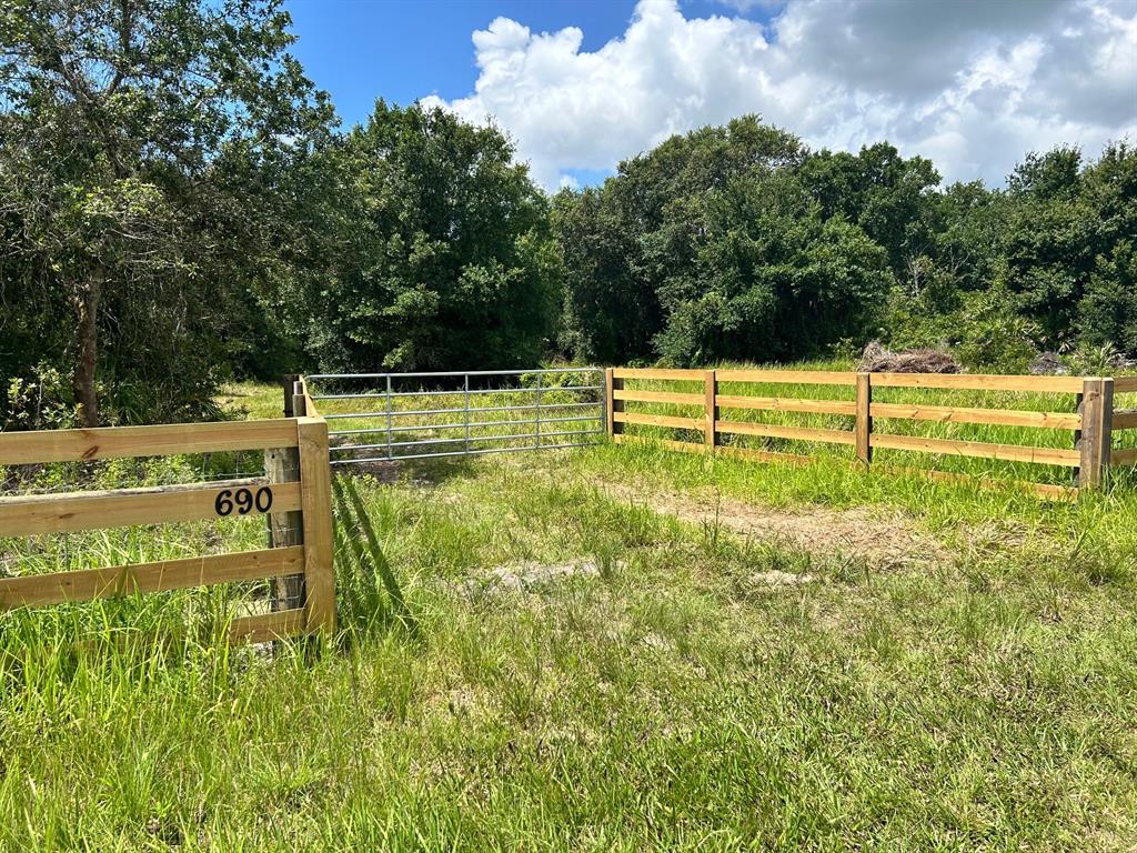 a view of a garden with lawn chairs