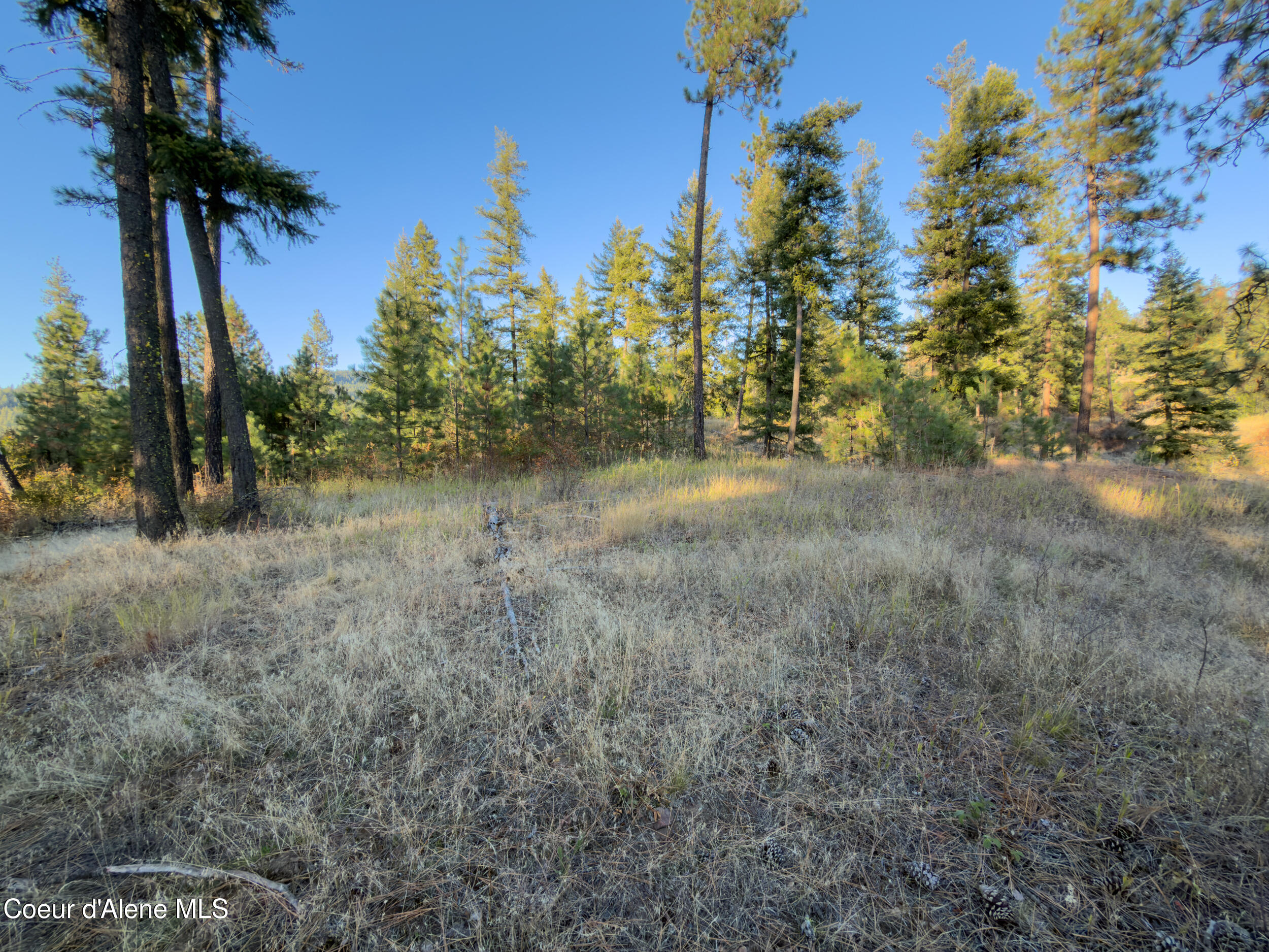 1-2 Moose Mtn Road Priest River, ID 83856 - Photo 29 of 53 47_img_7242