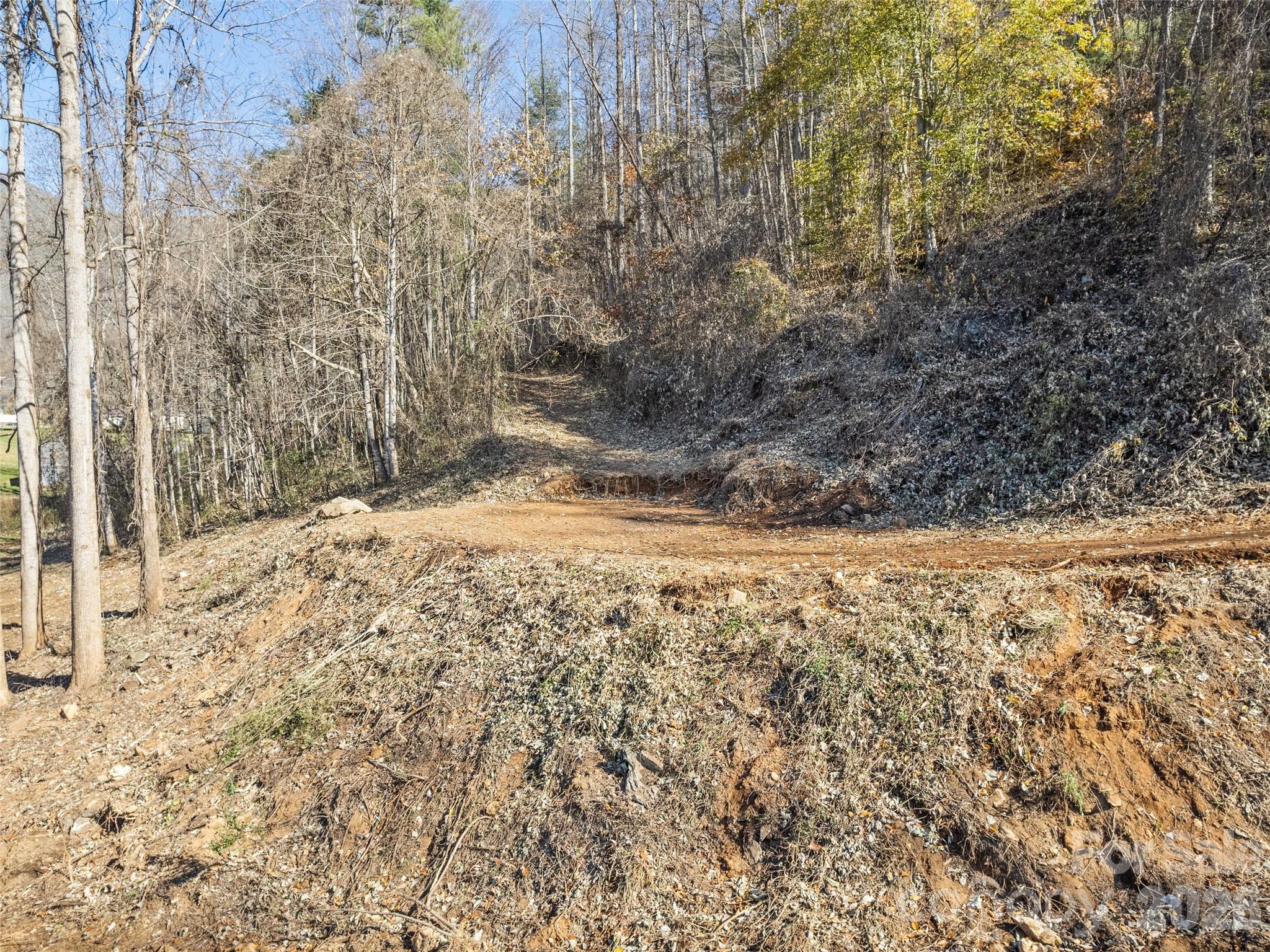 3 Fisher Creek Road Sylva, NC 28779 - Photo 8 of 9 a view of a yard with large trees