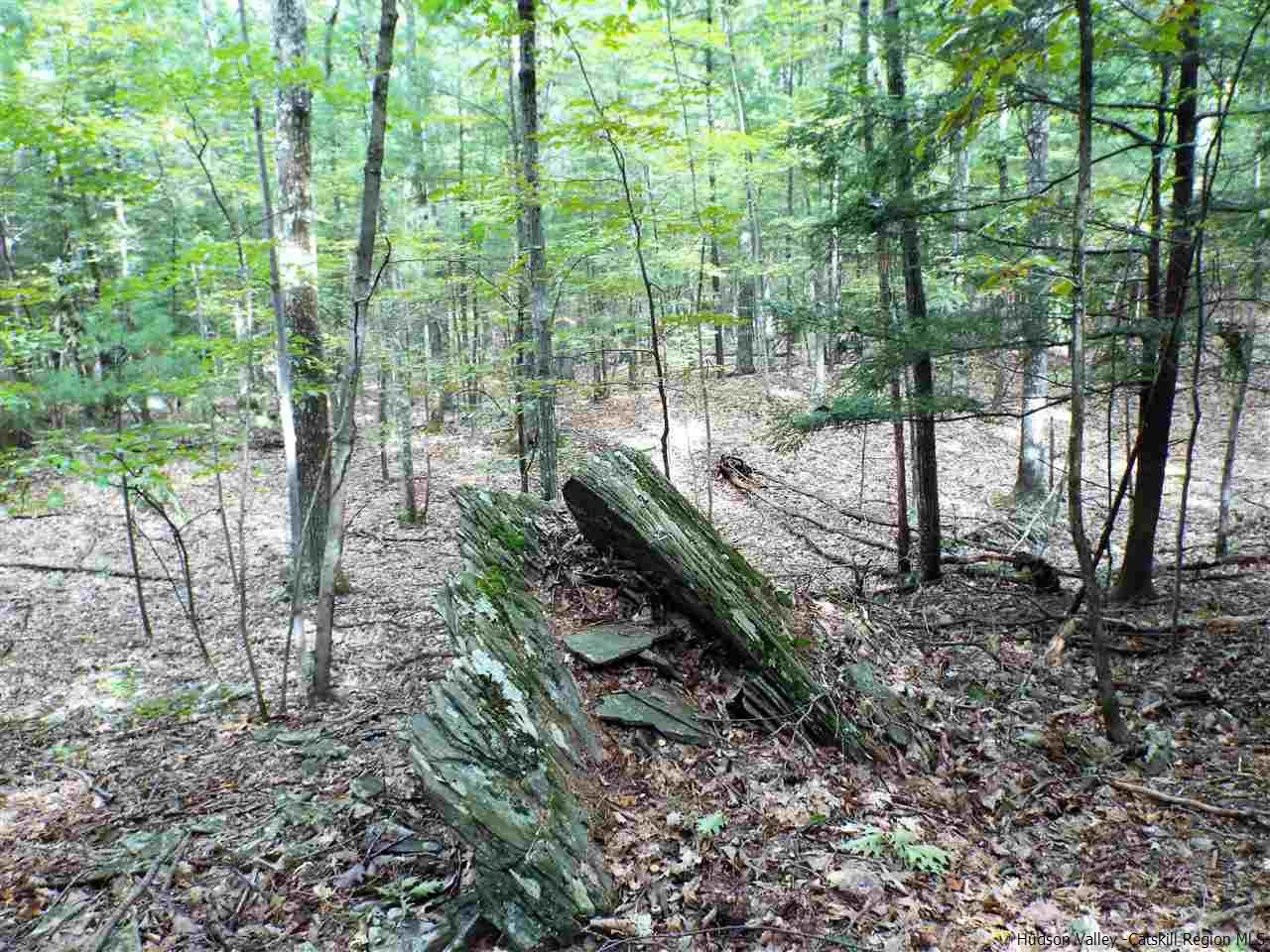 36 Lodge Road Saugerties, NY 12477 - Photo 28 of 29 Photo 30