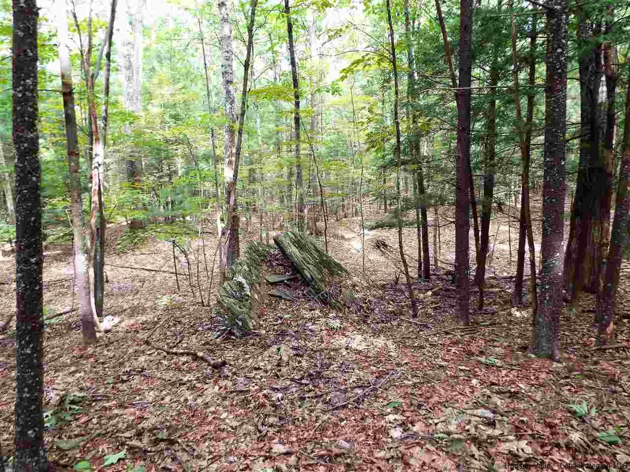 36 Lodge Road Saugerties, NY 12477 - Photo 5 of 29 Photo 5