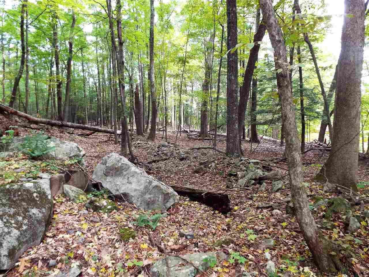 36 Lodge Road Saugerties, NY 12477 - Photo 6 of 29 Photo 6