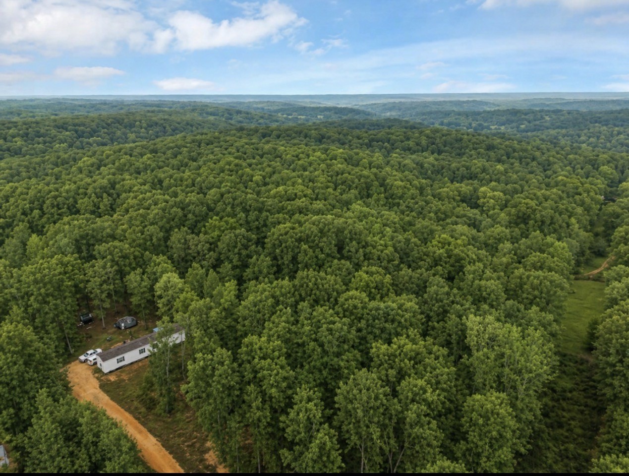 6126 Calvin Potts Road Primm Springs, TN 38476 - Photo 21 of 22