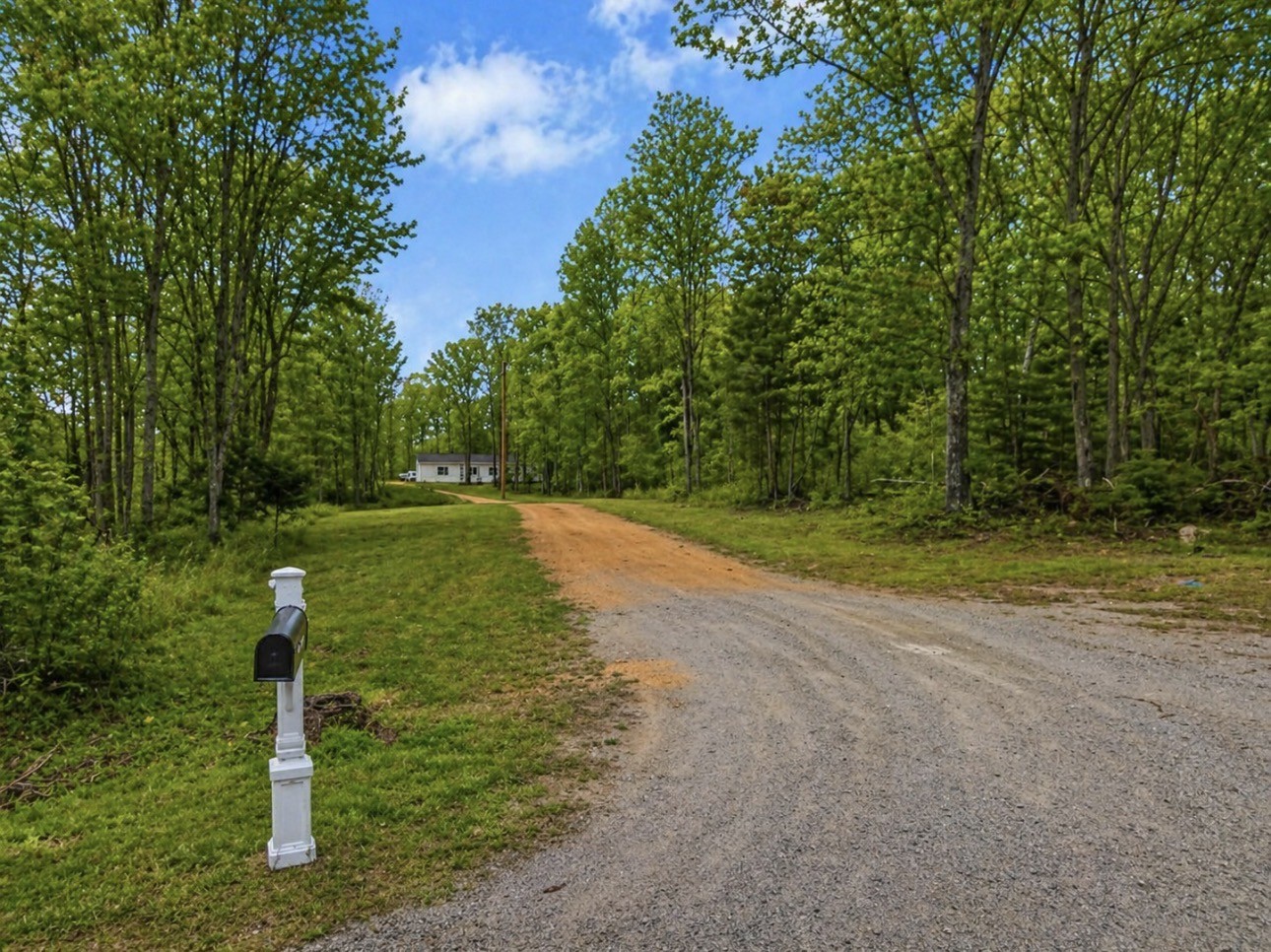 6126 Calvin Potts Road Primm Springs, TN 38476 - Photo 3 of 22
