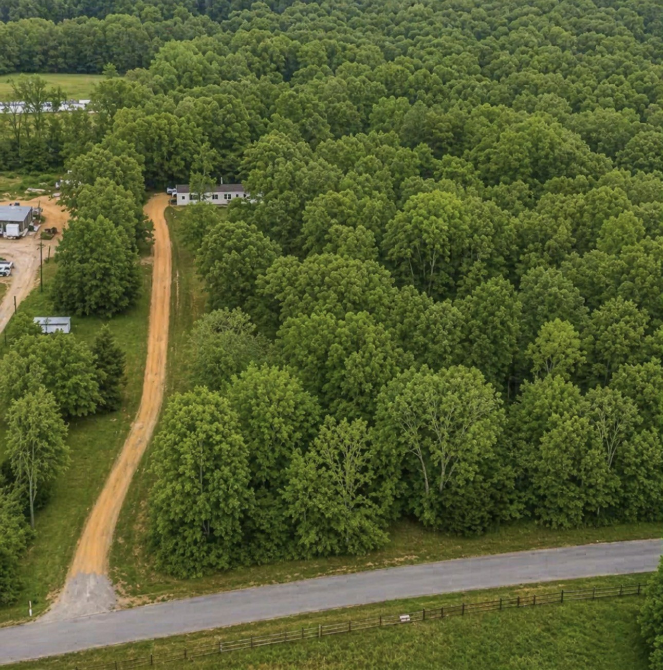6126 Calvin Potts Road Primm Springs, TN 38476 - Photo 4 of 22