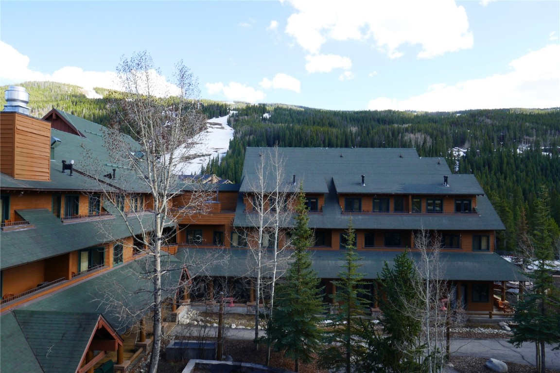 100 Dercum Square, Unit 8374 Keystone, CO 80435 - Photo 19 of 24 a aerial view of a house with a garden and plants
